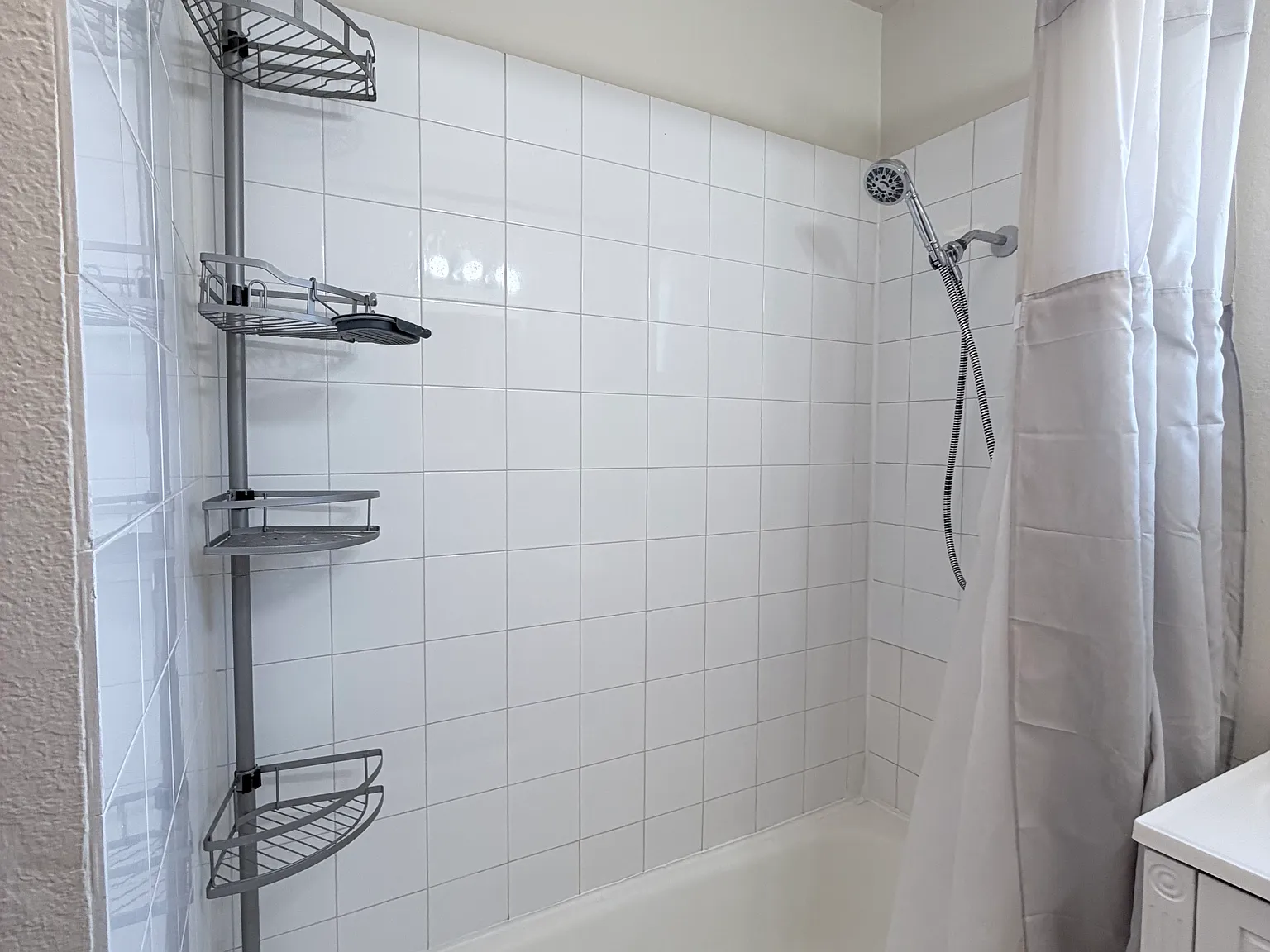 3 bed, 1100 sqft, $2,250 — Photo 4