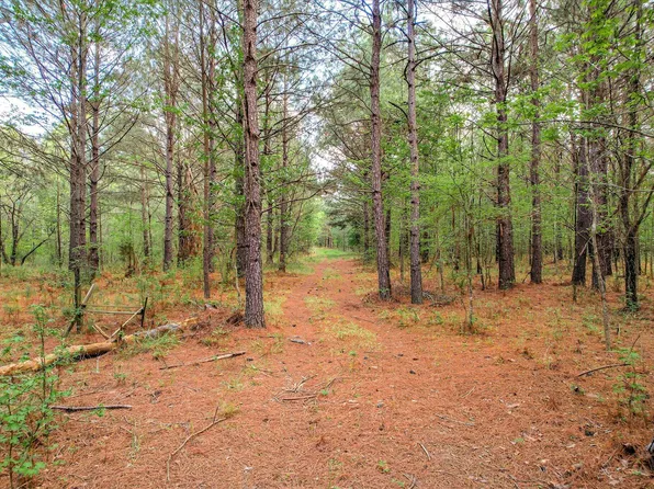 6995 Cobbham Road, Appling, GA 30802