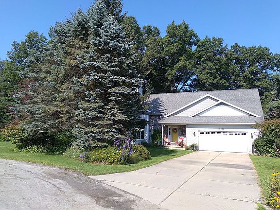 Mature Pines and Hardwoods