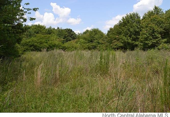 2nd image of 0 County Rd #222