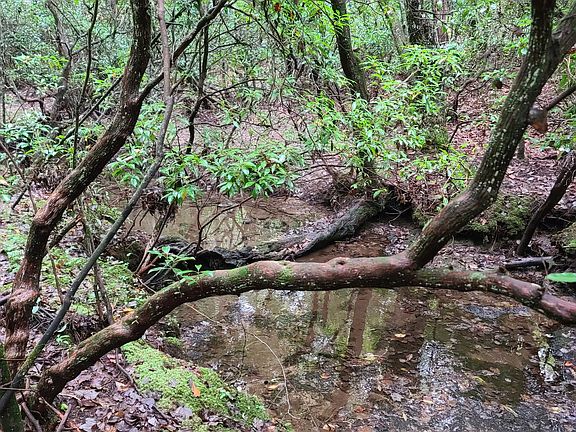 2nd image of 0 Whitetail Ridge Dr