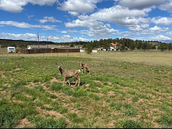 3rd image of 489 Duesouth Road