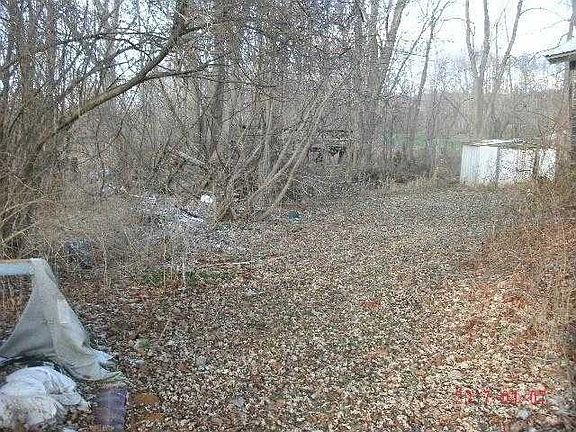 Rear Yard
