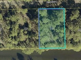 1068 Alcalde St E, Lehigh Acres, FL 33974