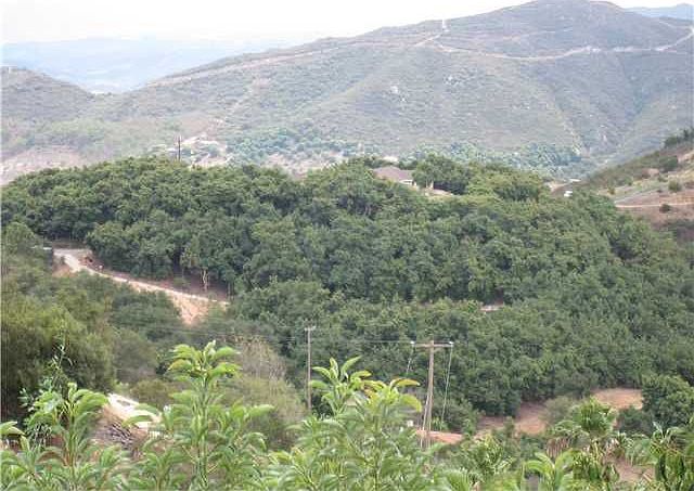 2nd image of 910 Rainbow Crest Rd