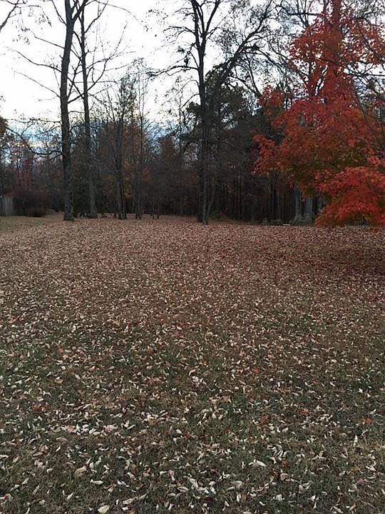2nd image of 157 Whites Point Dr