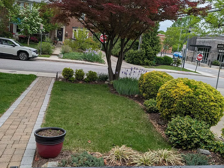 427 Regester Ave — Photo 2