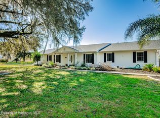 9959 Domingo Dr, Brooksville, FL 34601