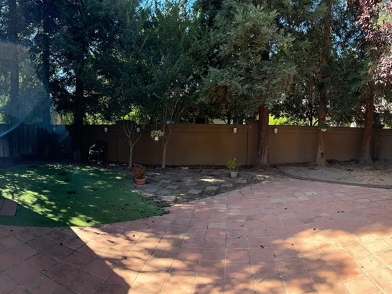 View from side of yard