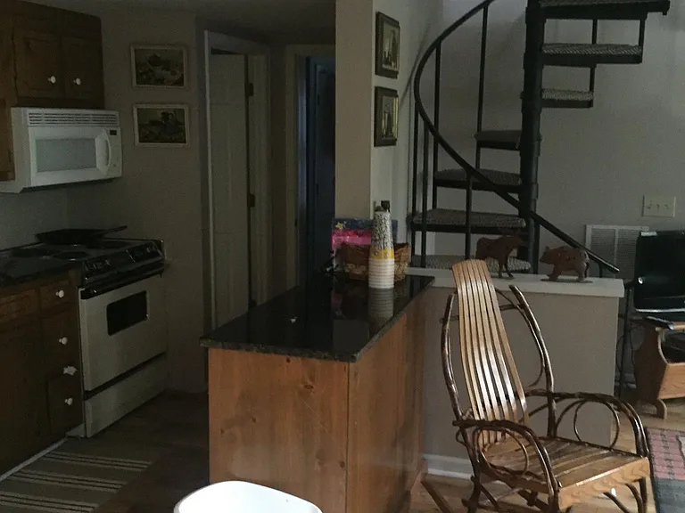 80 Bobcat Ln — Photo 21