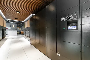 Rented by Dalan Rentals