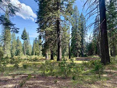 3-e-43 Red Fir Rd, Mccloud, Ca 96057 