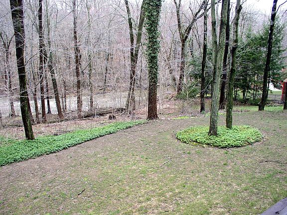 Backyard overlooking Pascack Creek