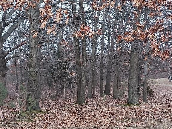 2nd image of 87573 County Road 668