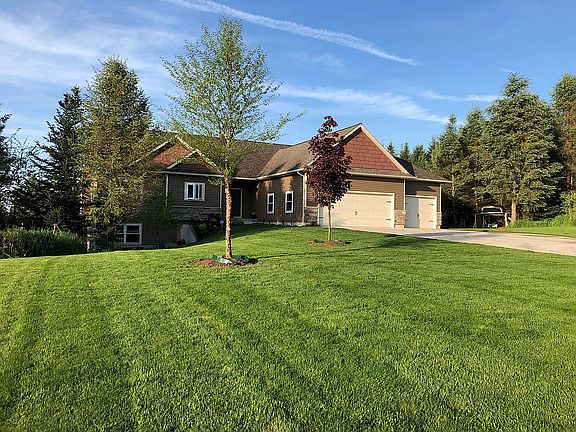 River Birch and Crimson king