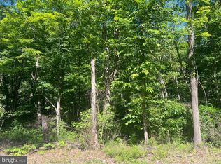 Cold Run Valley Rd, Berkeley Springs, WV 25411