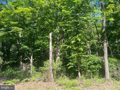 Cold Run Valley Rd, Berkeley Springs, WV, 25411