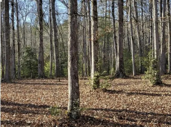 0 Happy Valley Rd, Tallassee, TN 37878