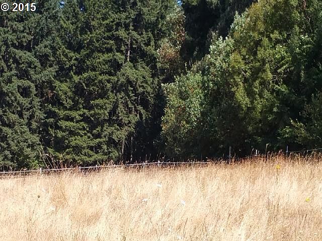 2nd image of 0 SW Holznagel Rd