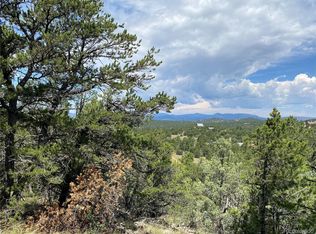 236 Marion Ln #63, Cotopaxi, CO 81223