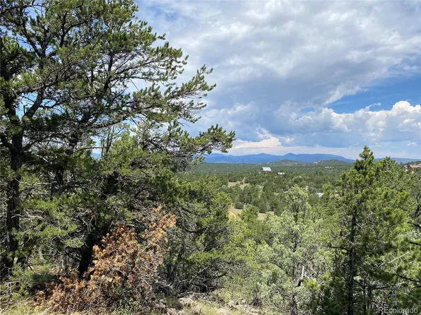 236 Marion Lane LOT 63, Cotopaxi, CO 81223