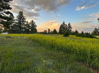 304 Domicile Cir, Pagosa Springs, CO 81147