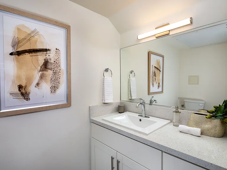 APT THE MADISON COLLECTION — Photo 11