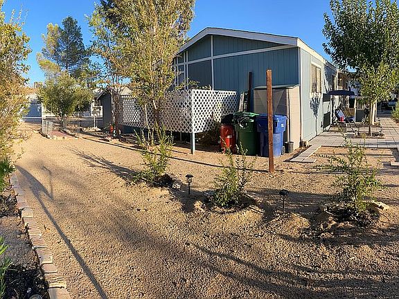 Fruit trees & fenced yard