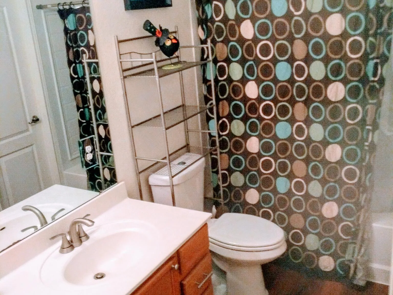 1 bed, 2621 sqft, $500 — Photo 4