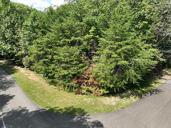 2nd image of 123 Edinborough Ct