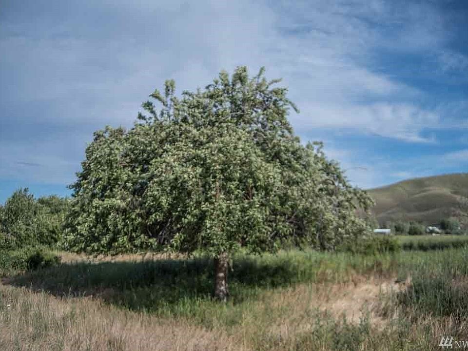 1st image of 0 Penny Ln Lot 5