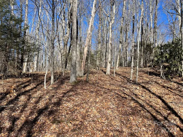 14 Linwood Ln, Newland, NC 28657