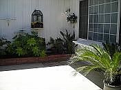 yard outside living room