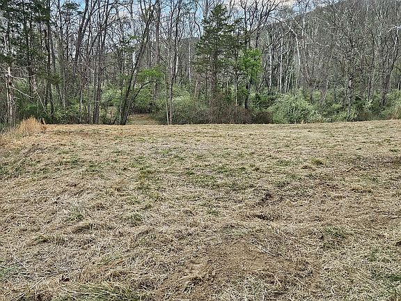 4th image of 250 Shale Hill Ln