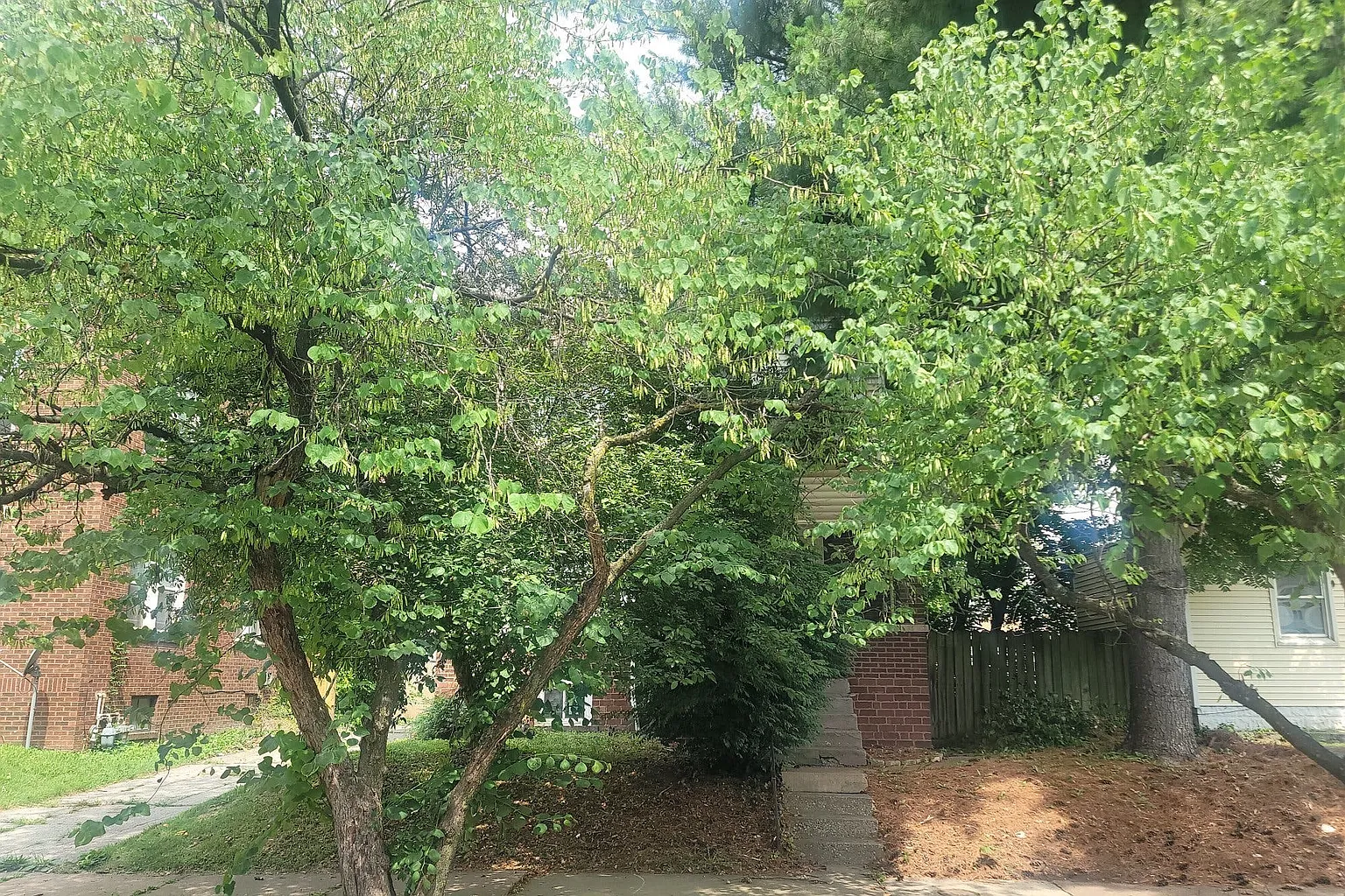 2419 Delmar Ave photo 1