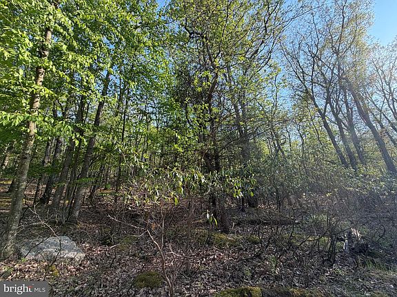 4th image of 462 Spring Mountain Dr