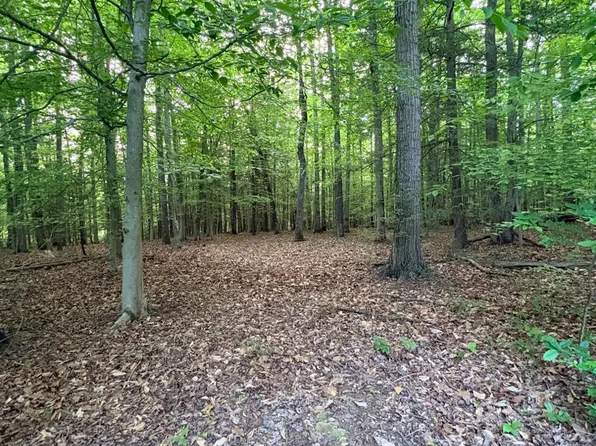 Ledgeview Dr, Fayetteville, WV 25840