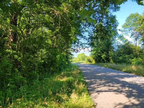 0 Mars Hill Rd, Spring City, TN 37381