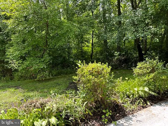 2 bed, 930 sqft, $2,000 — Photo 4