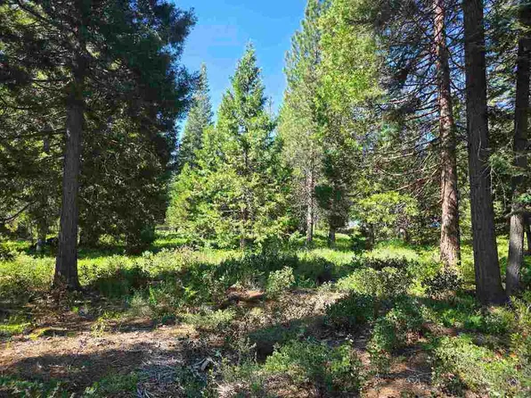 LOT 85 Panther Meadow Dr, McCloud, CA 96057
