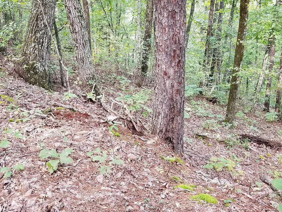 2nd image of Dogwood Dr