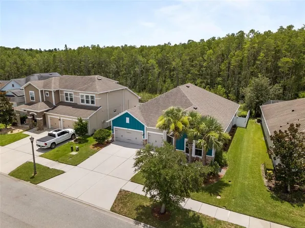 2902 Long Bow Way, Odessa, FL 33556