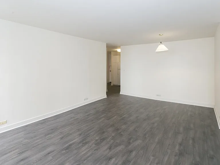 Dining/Living room