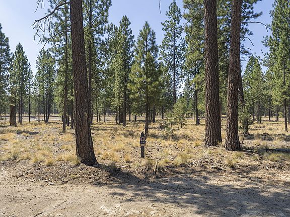 2nd image of 56680 Red Bear Ln #556