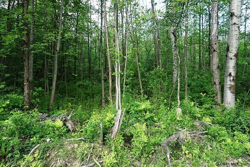 4th image of MOUNTAIN CREST Road