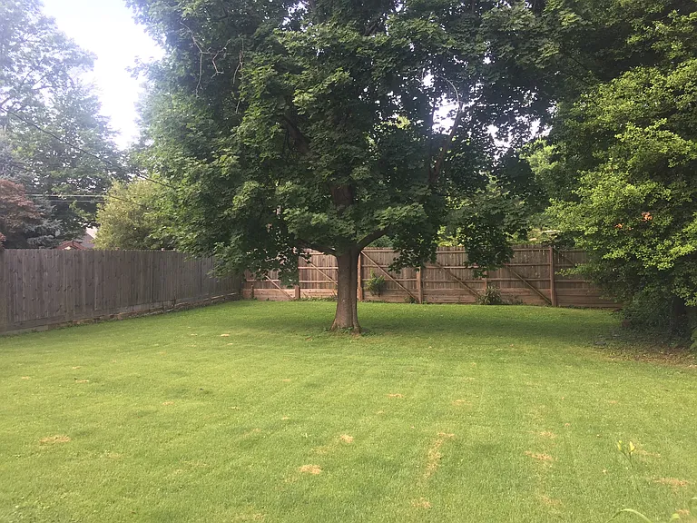 523 Lone Oak Dr — Photo 11