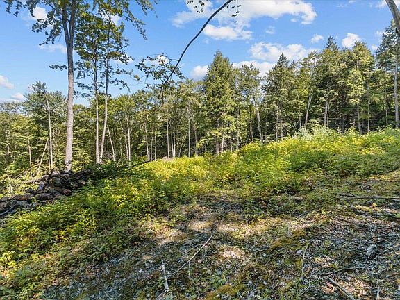 4th image of 1901 Royalton Hill Road