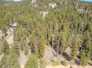 449 Forest Dr, Bailey, CO 80421