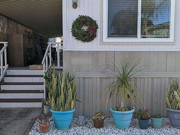 Merry Christmas 2021