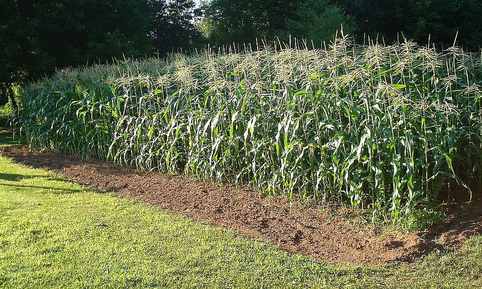2nd image of 400 S Ridge Rd
